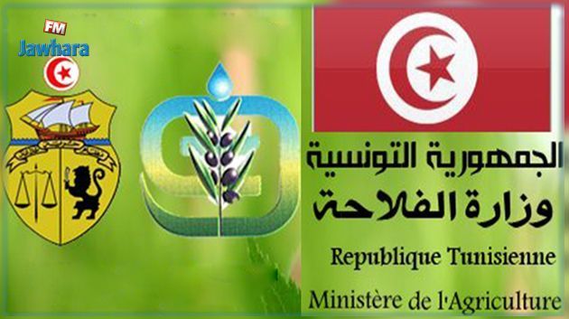 وزارة الفلاحة توصي باستهلاك منتجات غذائية ذات أصل حيواني خلال الفترة الصيفية