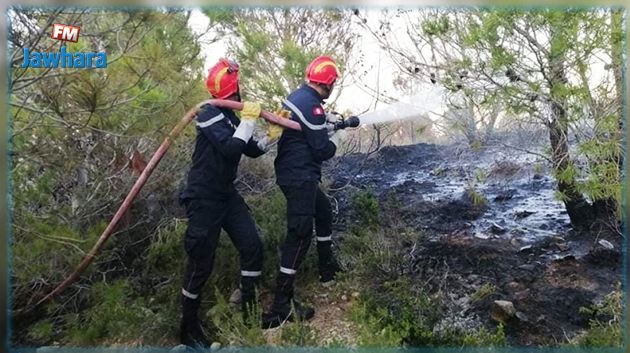 سليانة: السيطرة على حريق غابي