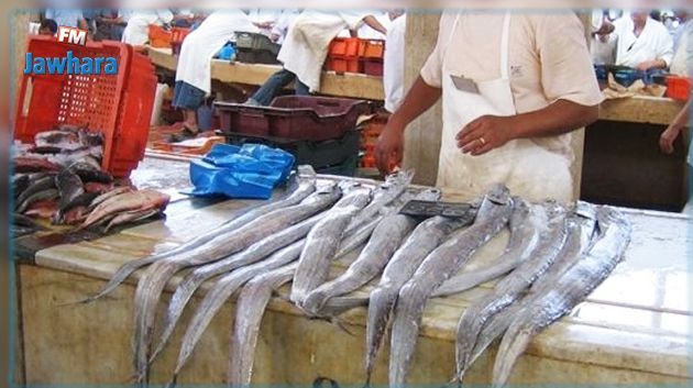 صفاقس : غرفة تجار الأسماك تستجيب لدعوة قيس سعيد 