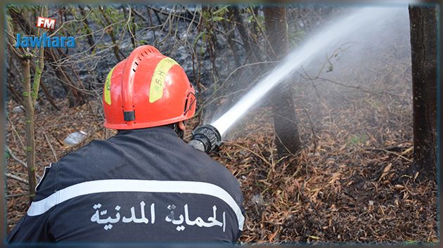 الحماية المدنية تطفئ 65 حريقا خلال ال24 ساعة الماضية