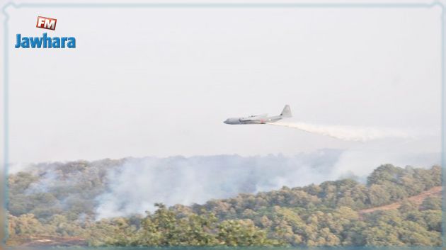 جيش الطيران: 255 طلعة جوية لإخماد الحرائق (فيديو)