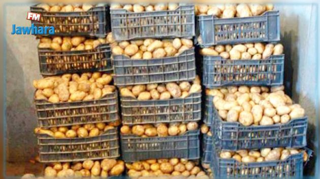 القصرين : حجز 270 طنا من البطاطا بمخزنين عشوائيين