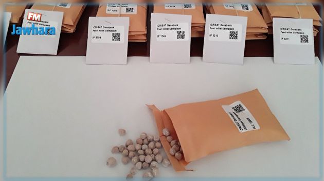 بنك الجينات يسترجع 49 عينة من البذور التونسية