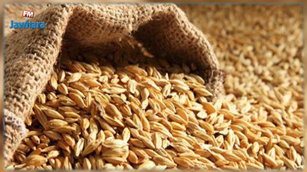 سليانة: ضبط شاحنة ثقيلة على متنها حوالي 7.5 طن من القمح الصلب بمدينة الروحية