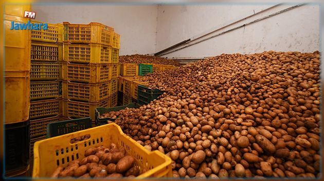 نابل: حجز 89 طن من البطاطا في مخزن عشوائي