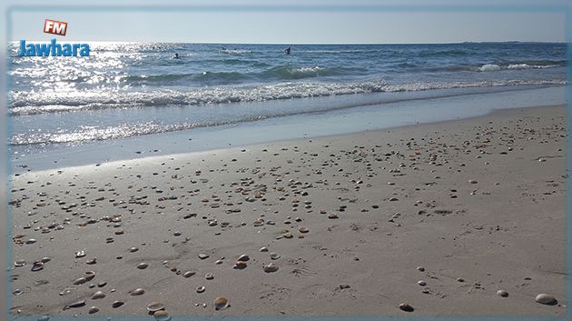 المنستير: ندوة حول حماية وتنمية الشريط الساحلي 