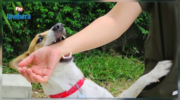 خمس حالات وفاة بداء الكلب منذ  جانفي الماضي