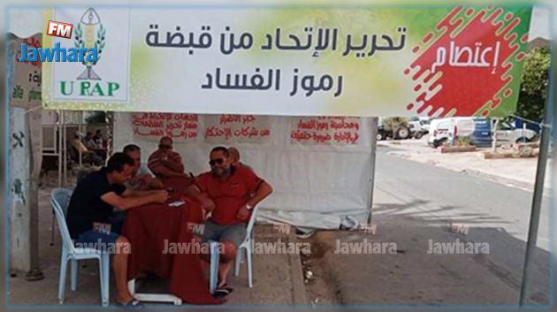 صفاقس: مربو الدواجن في إعتصام مفتوح
