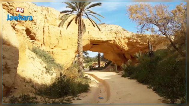 اكتشافات بأكثر من 100 مليون سنة.. مساع للاعتراف دوليا بالحديقة الجيولوجية بالجنوب الشرقي