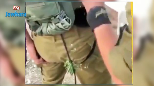 شاهد.. جندي اسرائيلي يبكي من شدّة الوخز بعد سقوطه على الصبّار