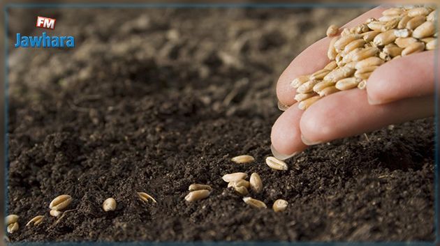 اتحاد الفلاحة يحذر من تداعيات الترفيع في أسعار بذور الحبوب