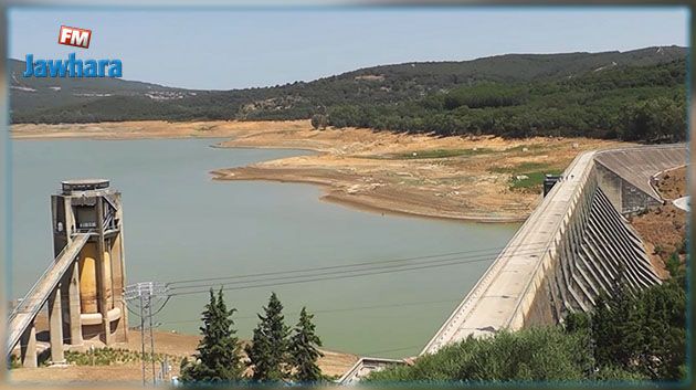 نابل: دعوة الفلاحين لتفادي الزراعات الآخر فصلية..وارتفاع متوقّع في الأسعار‎‎