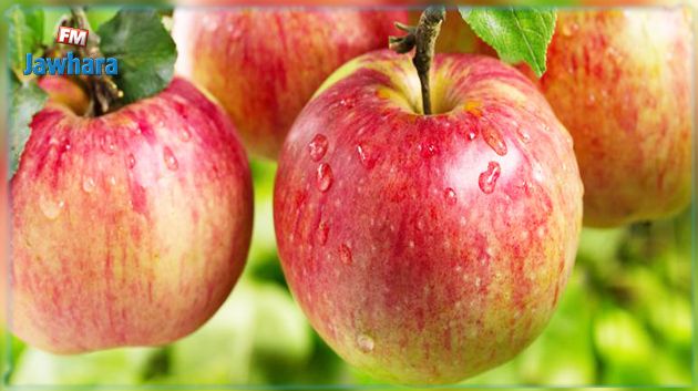 سليانة: تقديرات بإنتاج 17 ألف طن من التفاح