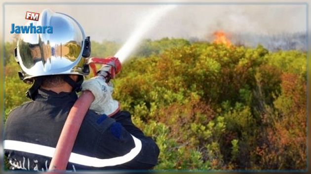 الحماية المدنية : إطفاء 55 حريقا خلال 24 ساعة الماضية