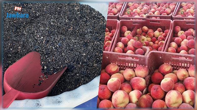 نابل: حجز 2،4 أطنان من الخوخ بمخزن عشوائي بنابل و1 طن من مادة الزقوقو