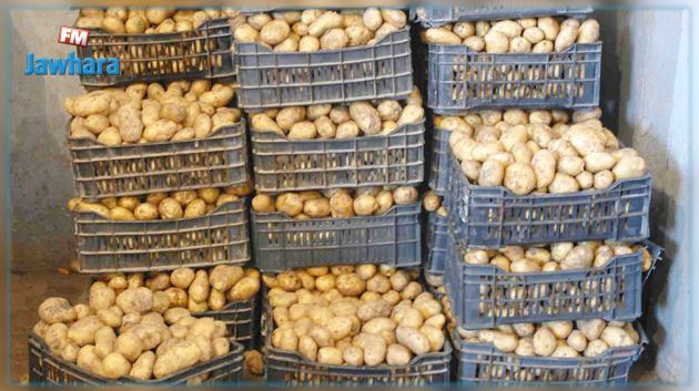 نابل: حجز 99 طنا من الخضر والغلال 