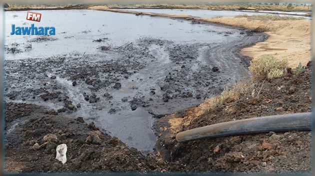 زغوان: خبراء دوليون في تونس لتقييم مدى قدرتها على مواجهة الارهاب البيولوجي والجريمة الزراعية