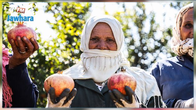 وزير السياحة يواكب فعاليات مهرجان الرمان بتستور (صور)