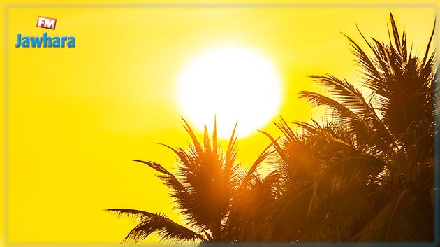 تصل غدا إلى 35 درجة: الحرارة تواصل الارتفاع 