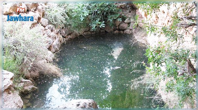 مبيد فئران في عين مياه يتزوّد منها مواطنون بحفوز: المسؤول عن حفظ الصحة يوضّح