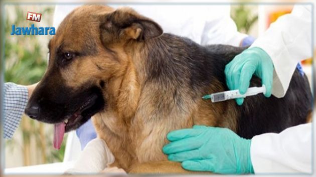 شبهة تقصير في استعمال لقاحات مضادة لداء الكلب