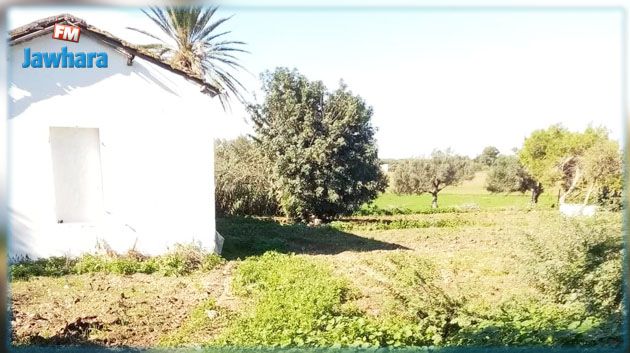 وزارة أملاك الدّولة: استرجاع عقار دولي فلاحي بموقع استراتيجي ببنزرت