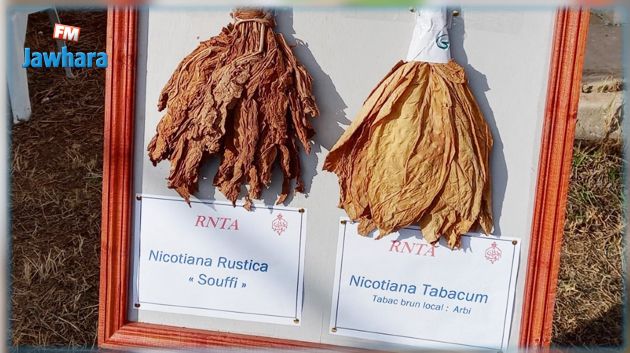 تحديد أسعار بيع التبغ لفائدة وكالة التبغ والوقيد