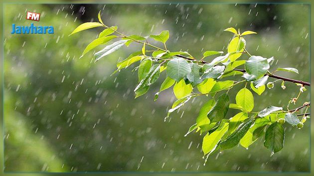 كمّيات الأمطار المسجّلة في 7 ولايات