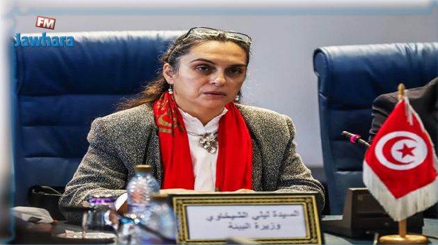 وزيرة البيئة: هناك إرادة حقيقية للحد من مشاكل التلوث بمختلف مناطق الجمهورية 