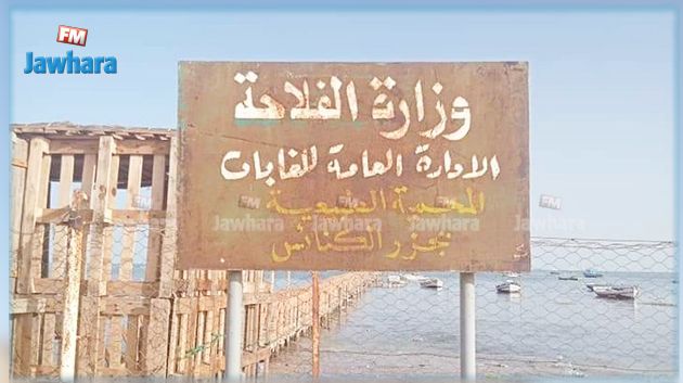 صفاقس : العمل على تصنيف جزر الكنائس كمحمية بحرية مستدامة 