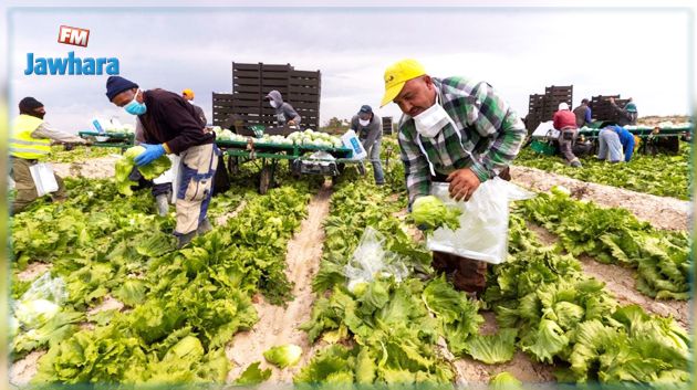 إيطاليا: برنامج لاستقدام عمال تونسيين لفترة مؤقتة