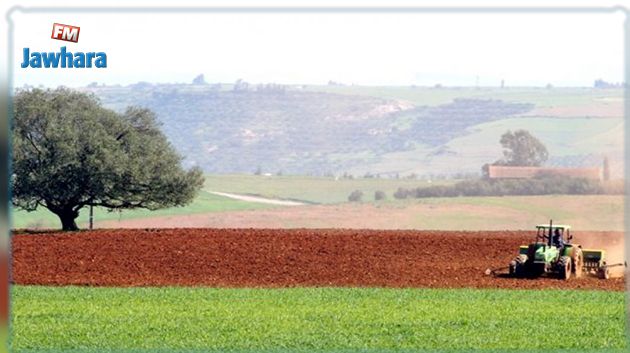 زغوان : مشروع فلاحي بكلفة تفوق 153 مليون دينار