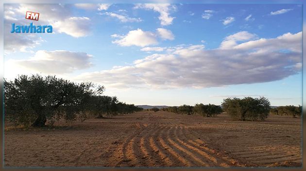 طقس الثلاثاء : تقلص مرتقب في فاعلية التقلبات الجوية