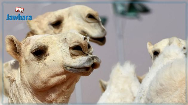 بسبب