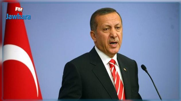قمّة إسطنبول: أردوغان يتعهّد بتعزيز التّعاون والرّوابط مع القارّة الأفريقيّة