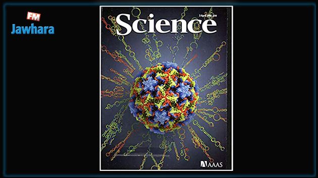 مخابر تونسية تنشر دراسة حول سلالات كورونا في مجلة ساينس الامريكية