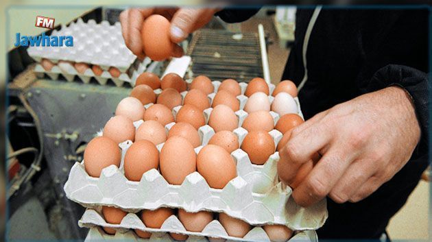 إرتفاع أسعار البيض : منظمة إرشاد المستهلك توضّح