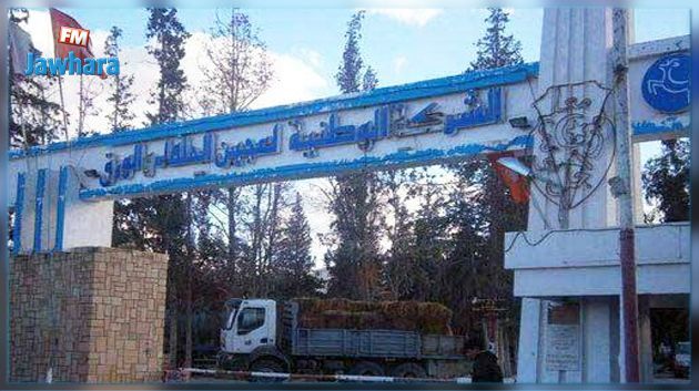 وزارة الصناعة تنفي التفويت في الشركة الوطنية لعجين الحلفاء والورق