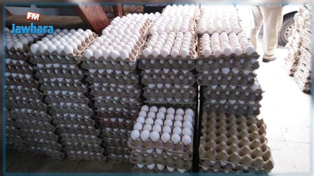 وزارة الفلاحة: مستوى الإنتاج الشهري لبيض الاستهلاك يعادل 100 %