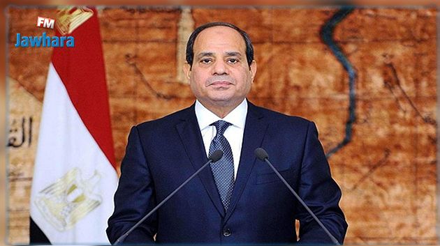 بقرار من السيسي: منع زراعة نباتات الزينة في مصر (فيديو)