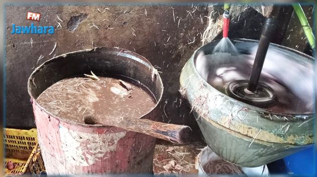 نابل: حجز 1750 كغ من منتجات الدواجن غير الصالحة للاستهلاك