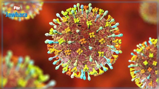 اللجنة العلمية تدعو هؤلاء لعدم المشاركة في الزيارات العائلية خلال احتفالات رأس السنة