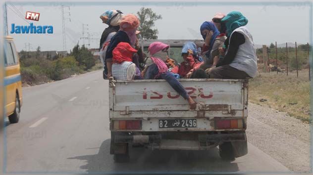 الإتحاد التونسي للفلاحة يشدد على ضرورة توفير النقل الآمن للنساء الفلاّحات