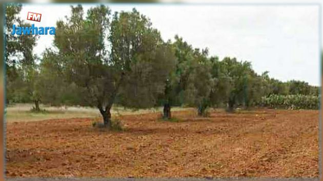 الدولة تسترجع عقارا دوليا فلاحيا بولاية سوسة