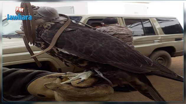 بنقردان : إيقاف قطري وليبي و3 تونسيين