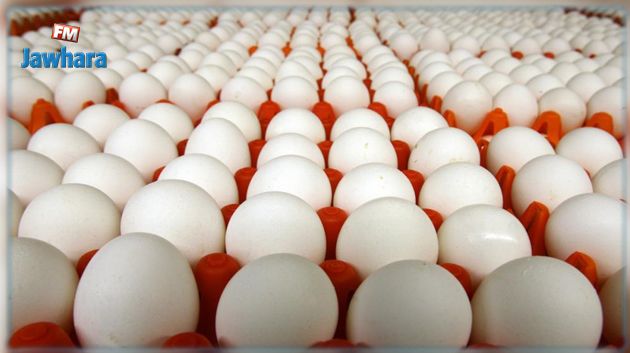 وزارة التجارة: تسقيف أسعار البيض تمّ بعد  التشاور مع جميع المتدخلين