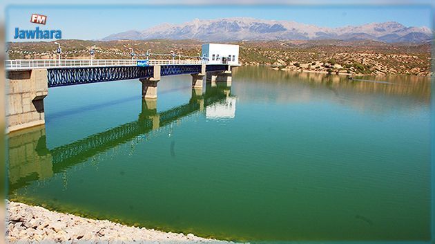 إلى يوم 14 جانفي: إيرادات السدود بلغت حوالي 710 مليون متر مكعّب