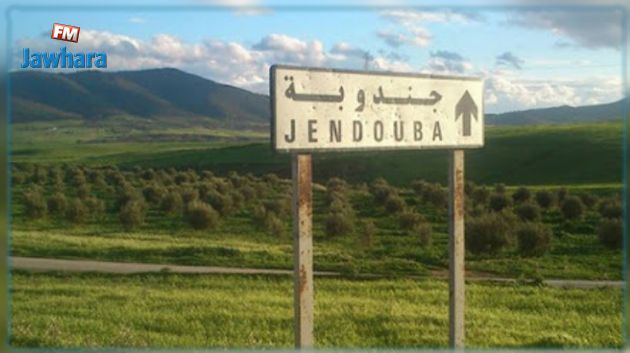 بداية من اليوم: فرض حظر الجولان في جندوبة