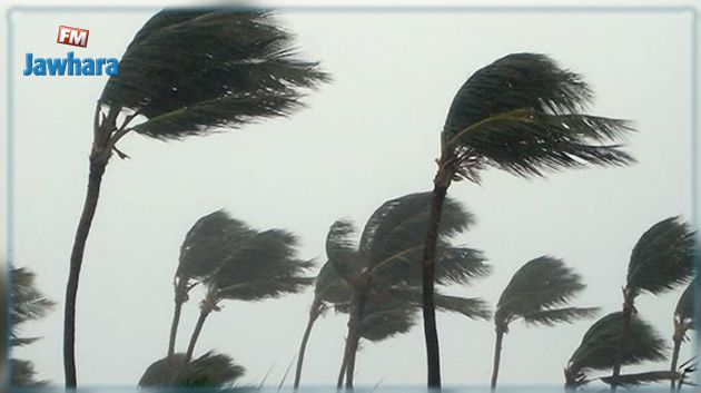  الرّصد الجوي: رياح قويّة تتطلّب اليقظة قرب السواحل