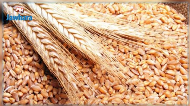 القصرين: حجز أكثر من طنيّن من مادّة الشّعير العلفي المدعّم